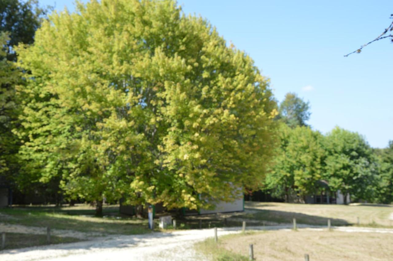 La Foret Enchantee Cornille  Zewnętrze zdjęcie