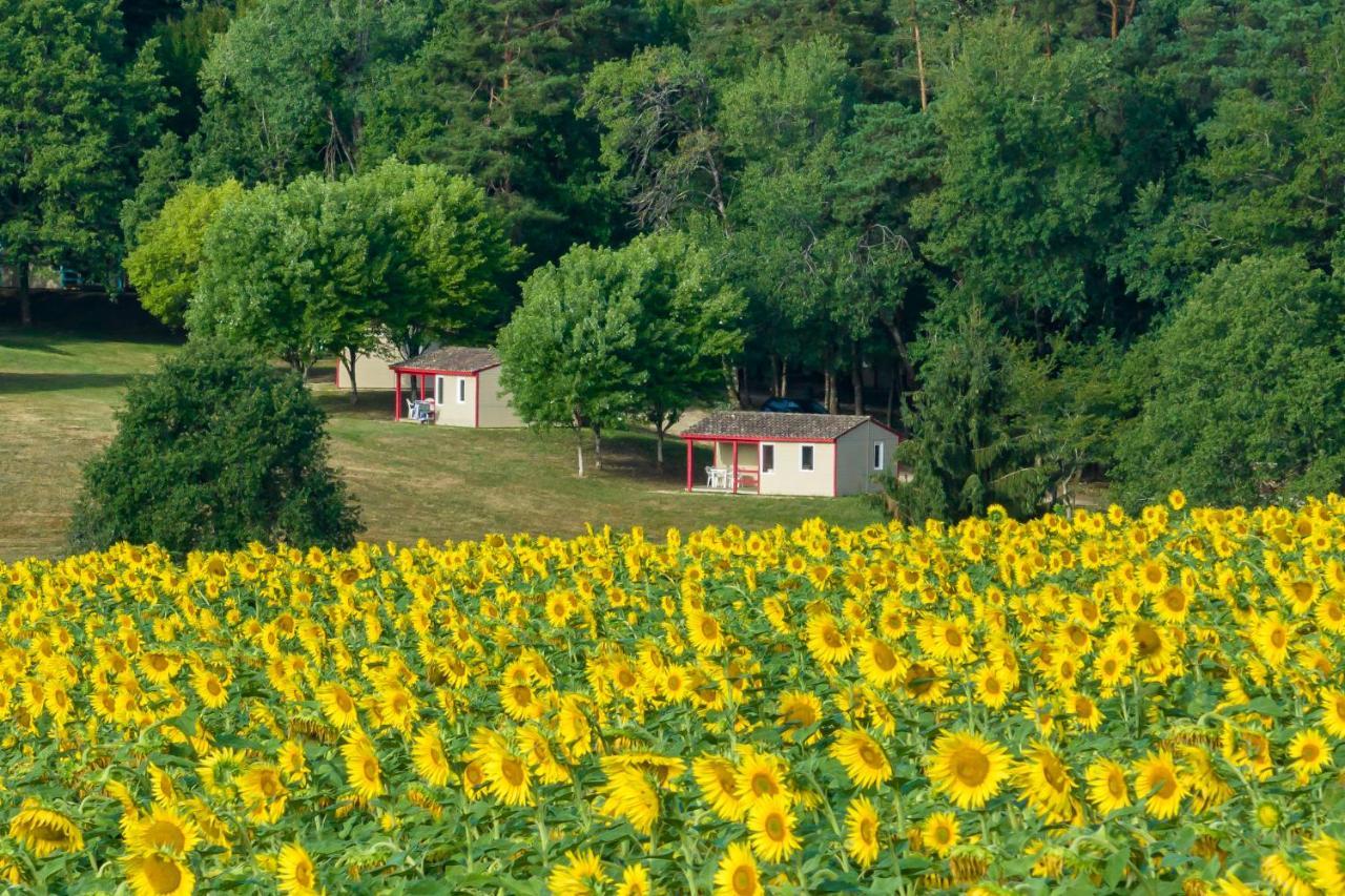 La Foret Enchantee Cornille  Zewnętrze zdjęcie
